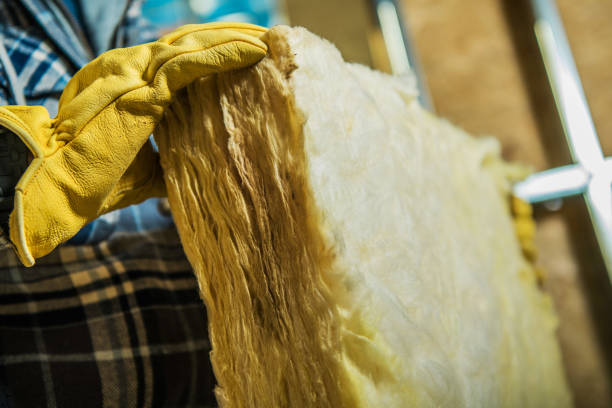 Best Eco-Friendly Insulation in Lake Placid, NY